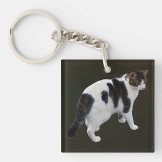 White Tabby With Dark Patches Keychain