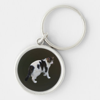 White Tabby With Dark Patches Keychain