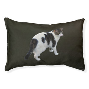 White Tabby With Dark Patches Pet Bed