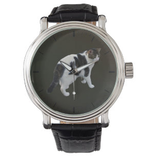 White Tabby With Dark Patches Watch