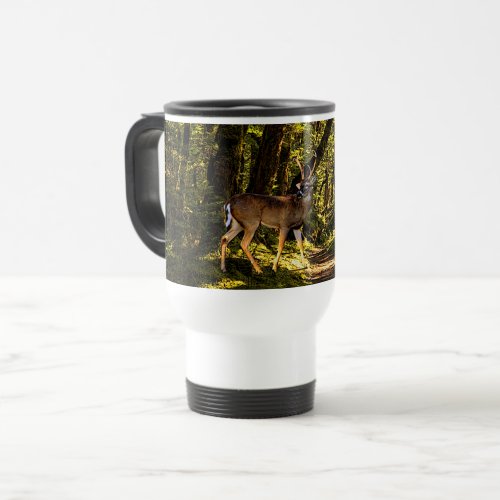 White tail Buck Deer in the deep sunlit forest Travel Mug