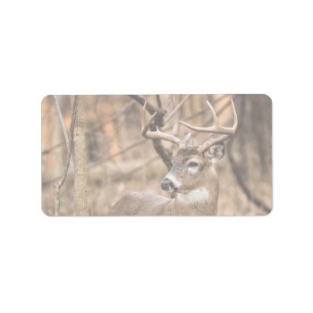 White Tail Deer Buck Label by Lasting__Impressions at Zazzle