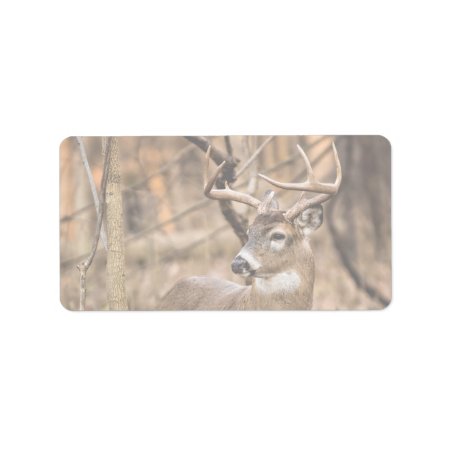 White Tail Deer Buck Label