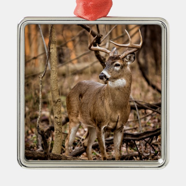 White Tail Deer Buck Metal Ornament (Front)