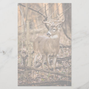 White Tail Deer Buck Stationery