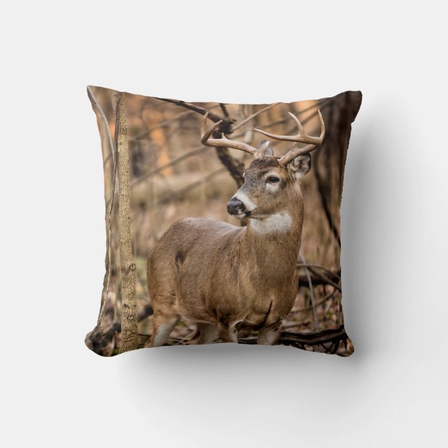 White Tail Deer Buck Throw Pillow (Front)