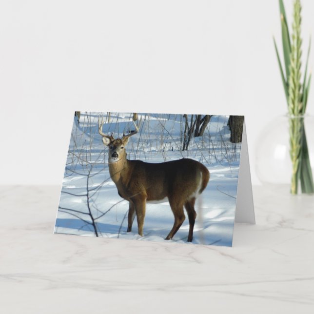 White Tail Deer (Buck) Winter Greeting Card (Front)
