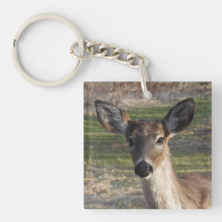 White Tail Deer Close Up Keychain