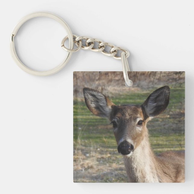 White Tail Deer Close Up Keychain (Front)