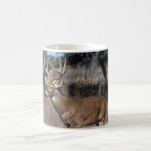 White Tail Deer Coffee Mug