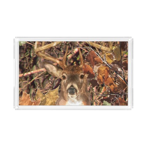 White Tail Deer Head Fall Energy Spirited on a Acrylic Tray