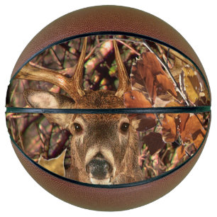 White Tail Deer Head Fall Energy Spirited on a Basketball