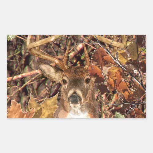 White Tail Deer Head Fall Energy Spirited on a Rectangular Sticker