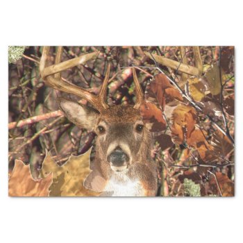 White Tail Deer Head Fall Energy Spirited On A Tissue Paper by TigerDen at Zazzle