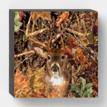 White Tail Deer Head Fall Energy Spirited On A Wooden Box Sign by TigerDen at Zazzle