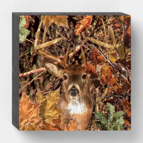 White Tail Deer Head Fall Energy Spirited on a Wooden Box Sign
