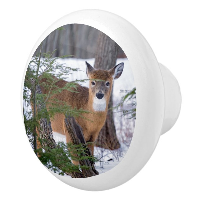White Tail Deer in Snow Ceramic Knob (Right)