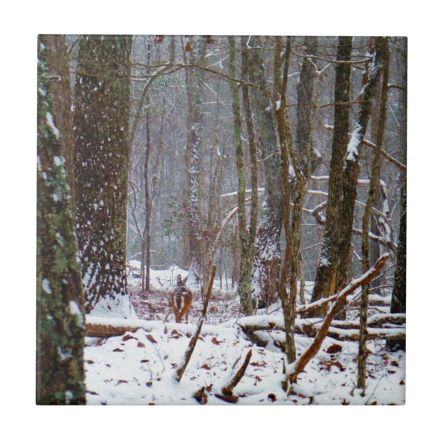 white tail deer in the snow ceramic tile (Front)