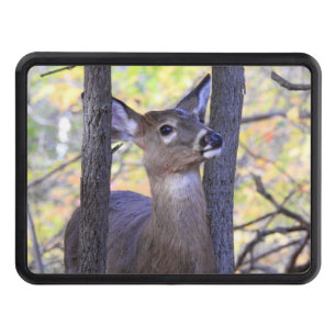 White Tail Deer in Woods Close Up Hitch Cover