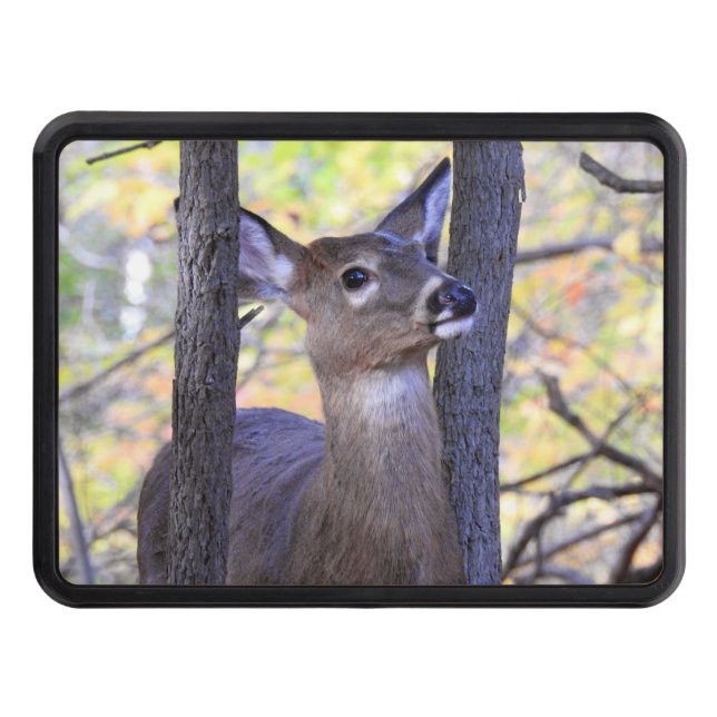 White Tail Deer in Woods Close Up Hitch Cover (Front)