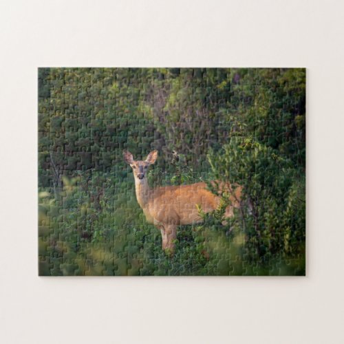 White Tail Deer  Jigsaw Puzzle