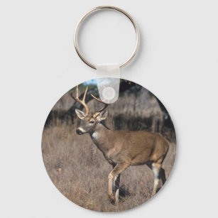 White Tail Deer Keychain
