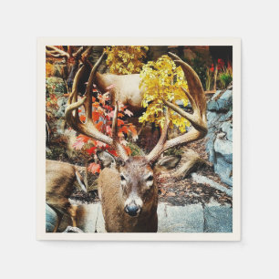 White Tail Deer Napkins