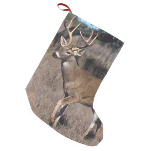 White Tail Deer Small Christmas Stocking