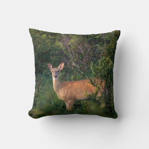 White Tail Deer  Throw Pillow