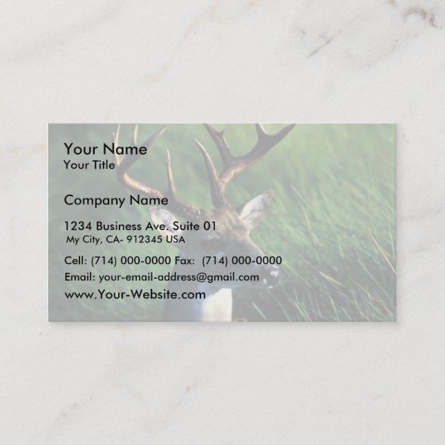 White-tailed Buck Business Card (Front)