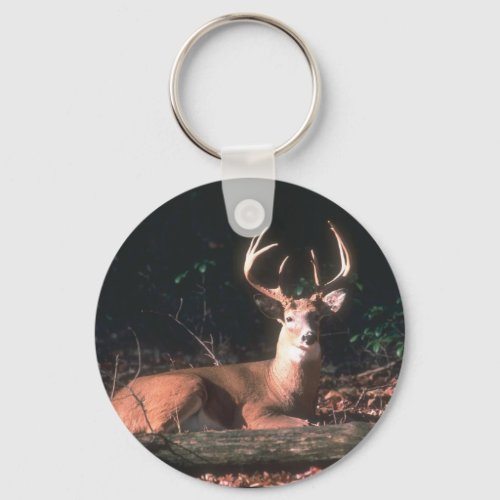 White Tailed Buck Deer Keychain