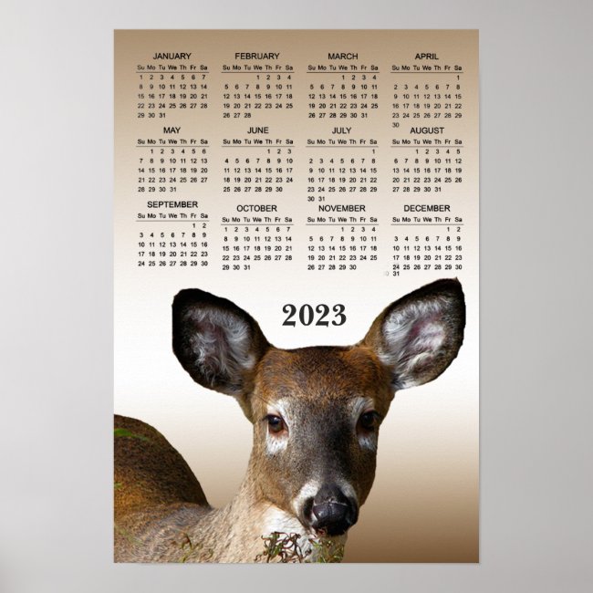 White Tailed Deer 2023 Animal Calendar Poster
