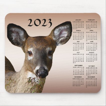 White Tailed Deer 2023 Animal Nature Calendar 