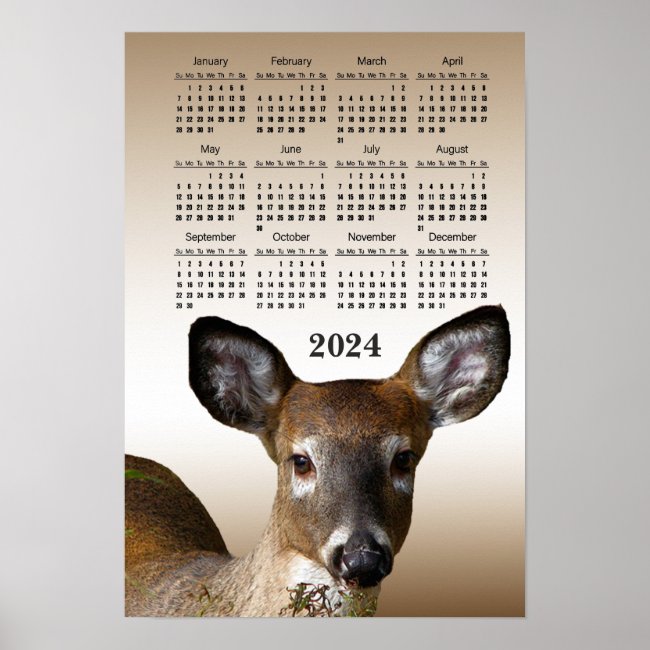 White Tailed Deer 2024 Animal Calendar Poster