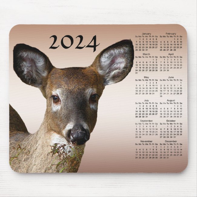 White Tailed Deer 2024 Animal Nature Calendar 