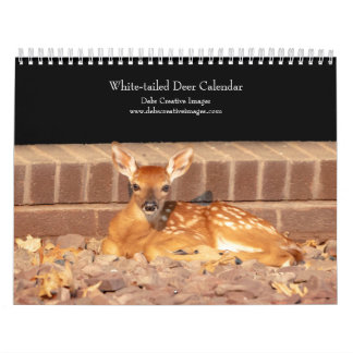 White-tailed deer 2026 calendar