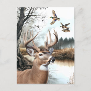 White Tailed Deer and Mallards nature scene Postcard