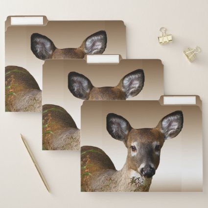 White Tailed Deer Animal File Folder Set