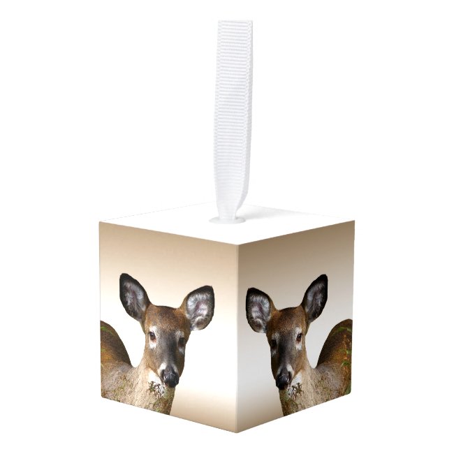 White Tailed Deer Animal Nature Cube Ornament