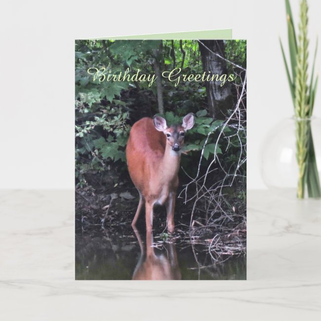 White-tailed Deer at Forest Pond Birthday Card
