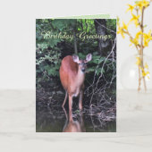 White-tailed Deer at Forest Pond Birthday Card (Yellow Flower)