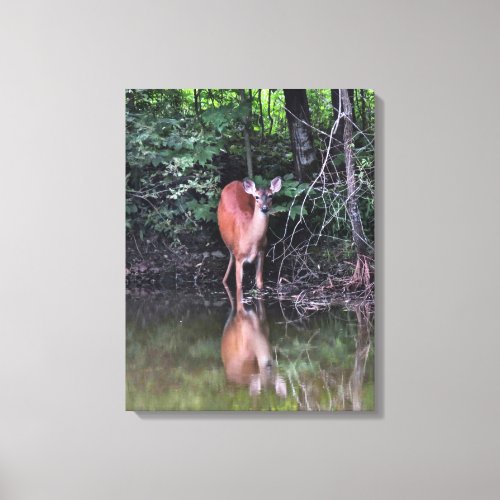 White Tailed Deer at Forest Pond Canvas Print