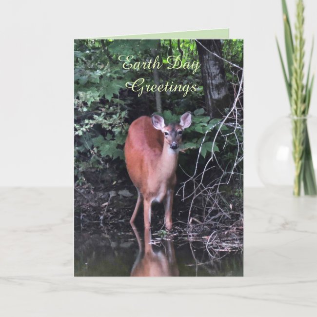 White-tailed Deer at Forest Pond Earth Day Card