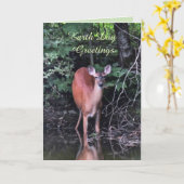 White-tailed Deer at Forest Pond Earth Day Card (Yellow Flower)