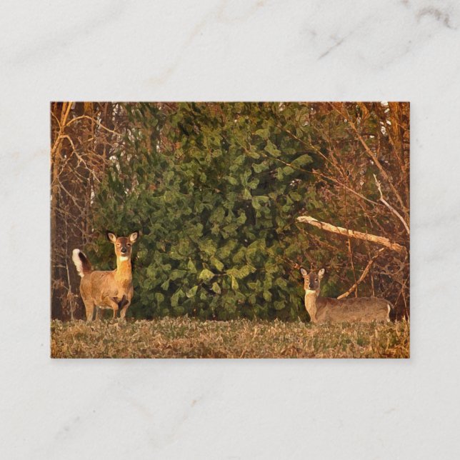 White-tailed Deer at Sunrise ATC Business Card (Front)