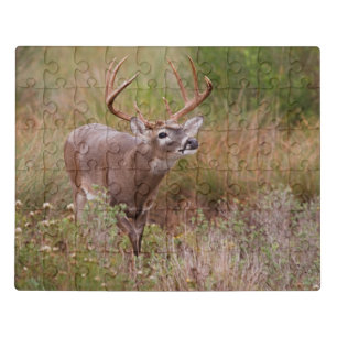 White-tailed Deer Autumn in Texas Jigsaw Puzzle