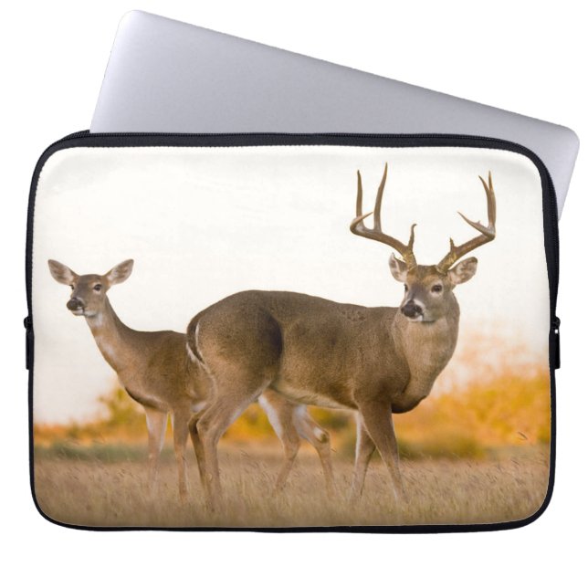 White-tailed Deer | Autumn in Texas Laptop Sleeve (Front)