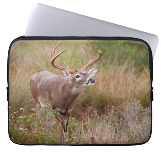 White-tailed Deer Autumn in Texas Laptop Sleeve (Front)
