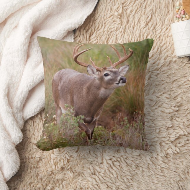 White-tailed Deer Autumn in Texas Throw Pillow (Blanket)