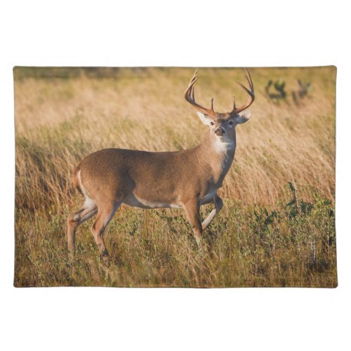 White_tailed Deer  Autumn in TX Cloth Placemat
